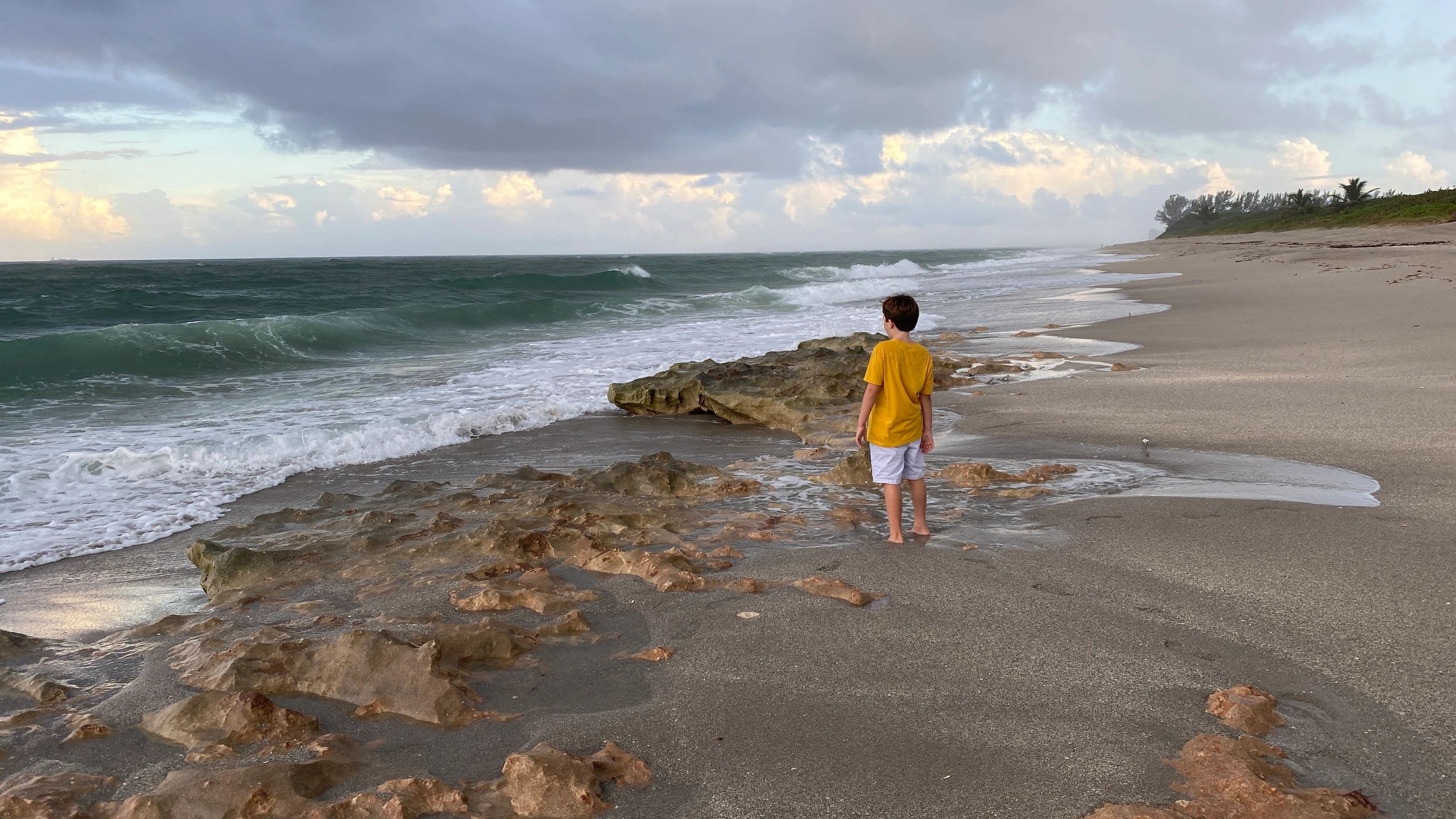 Alex's son on Juno Beach